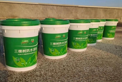 三棵樹綠意凈味筑防線 廣西長科新材料項(xiàng)目的水性涂料應(yīng)用實(shí)踐
